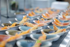 TactixX_312
