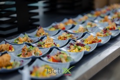 TactixX_313
