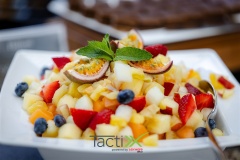 TactixX_335